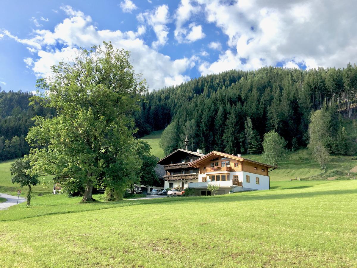 Bed and Breakfast Ridehouse à Schladming Extérieur photo
